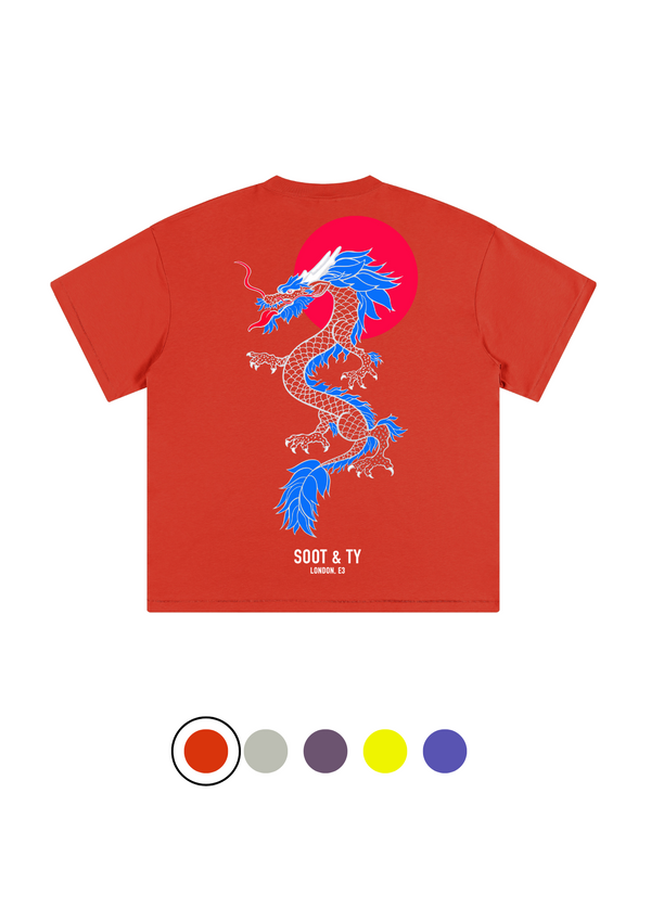 Soot and Ty Junior Dragon Print Relaxed Fit Kids T-shirt