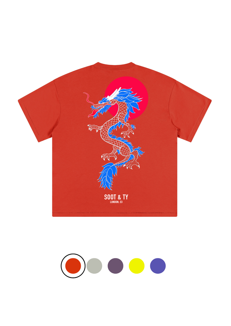 Soot and Ty Junior Dragon Print Relaxed Fit Kids T-shirt